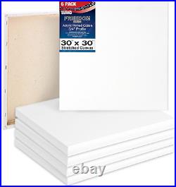 U. S. Art Supply 30 x 30 inch Stretched Canvas 12-Ounce Triple Primed, 6-Pack